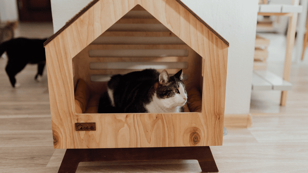 How to Choose a Reliable Pet Boarding Facility